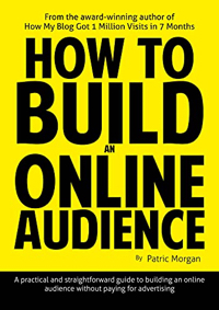 Screenshot of the book, "How To Build An Online Audience," by Patric Morgan.