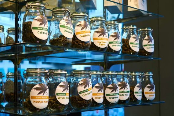 Image of different varieties of marijuana in a shop window. 