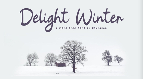 Screenshot of Delight Winter font on Behance