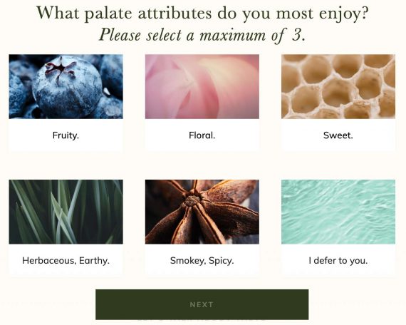 Snapshot of TEALEAVES quiz to determine the best flavor.