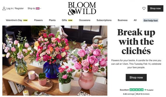 Page d'accueil de Bloom & Wild