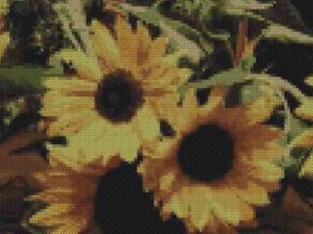 Digital Downloads Boost Sales and Loyalty