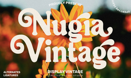 Home page of Nugia Vintage showing the font