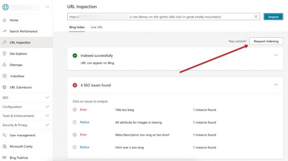 Bing Webmaster Tools URL inspection