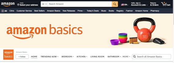 Screenshot of Amazon Basics page.