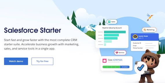 Screenshot of Salesforce Starter home page