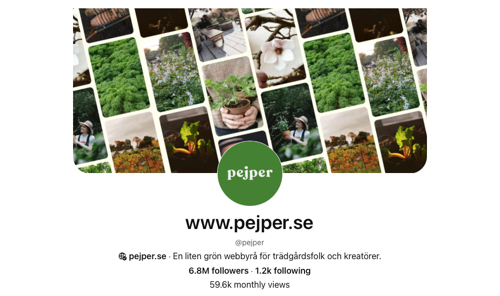 Pejper's Pinterest page