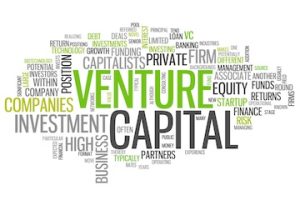 Word cloud for the term "venture capital"