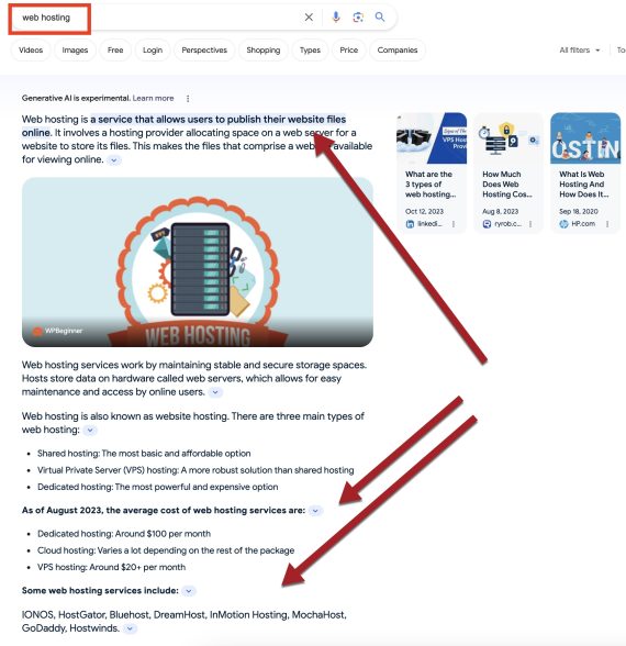 Screenshot of SGE's snapshot for "web hosting."