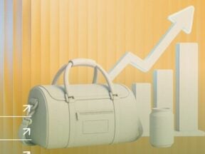 Image from Pietra of a purse next to a rising graph
