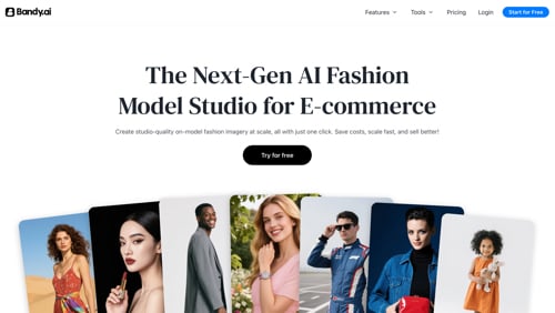 Home page of Bandy AI