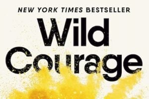 Partial cover of Wild Courage