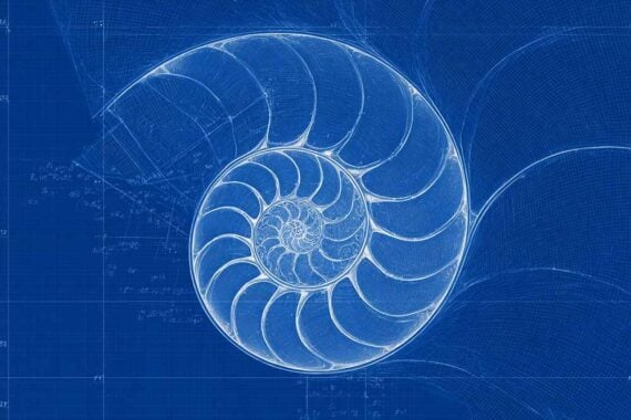 Ilustração da sequência de Fibonacci Ilustração da sequência de Fibonacci