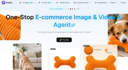 Home page of PixPix