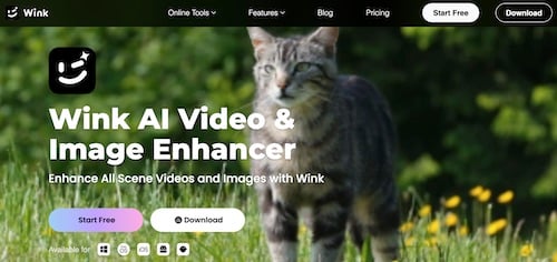 New Ecommerce Tools: August 5, 2026