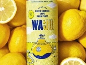 Image of a Waju can
