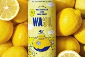 Image of a Waju can