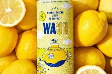Image of a Waju can