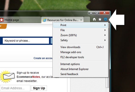 IE9 sprocket icon.