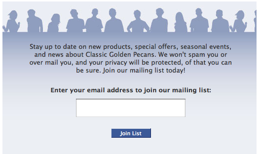 Constant Contact and other email service providers offer Facebook apps. 
