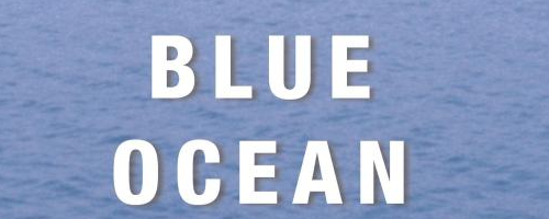 Blue Ocean Strategy by W. Chan Kim and Renee Mauborgne.
