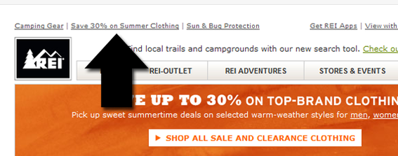 REI uses subtle pre-header text offers in its email marketing.